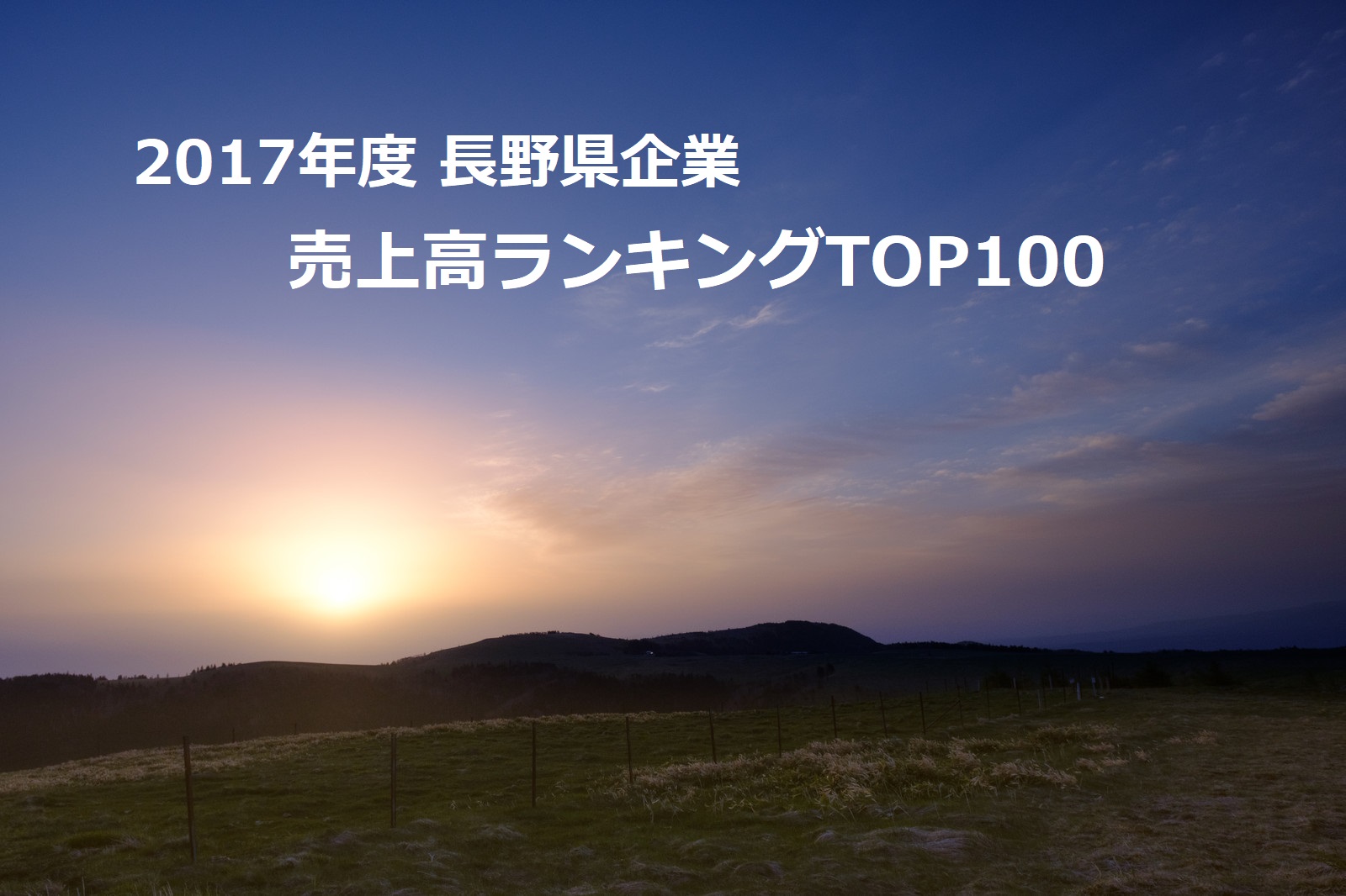 17年度 長野県企業の売上高ランキングtop100