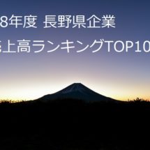 19年度 長野県企業の売上高ランキングtop100