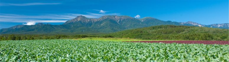 長野県写真